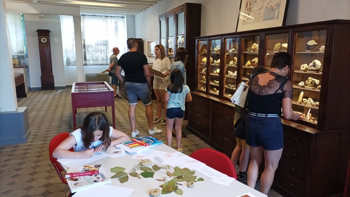 A découvrir pendant les vacances, la géologie au Musée de la Mine de La Machine !