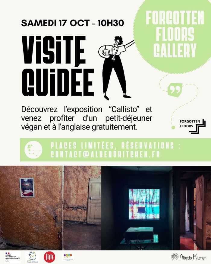 Visite guidée exposition collective "Callisto" Samedi 17 oct (gratuit)