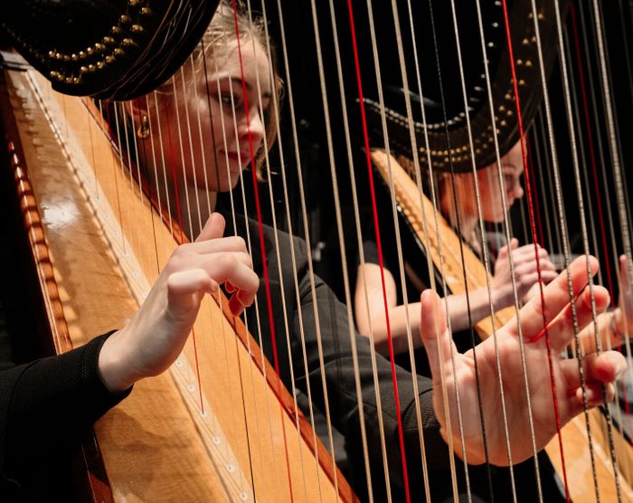 Scène ouverte : guitares & harpes