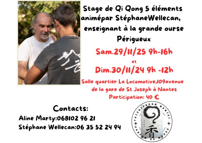 Stage qi qong des 5 éléments