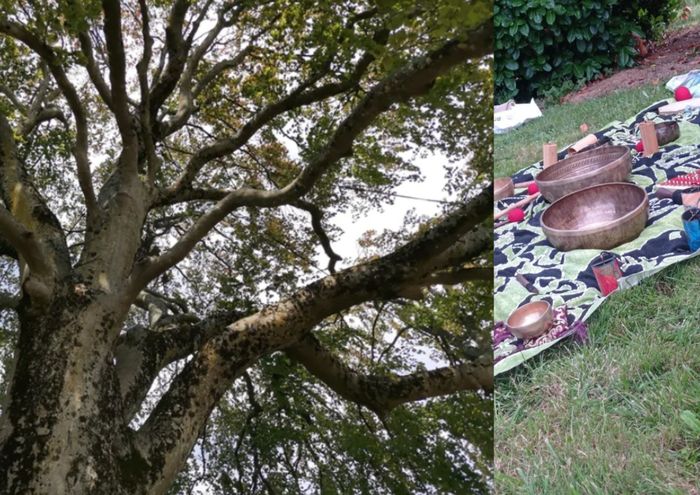 Auprès de mon arbre
