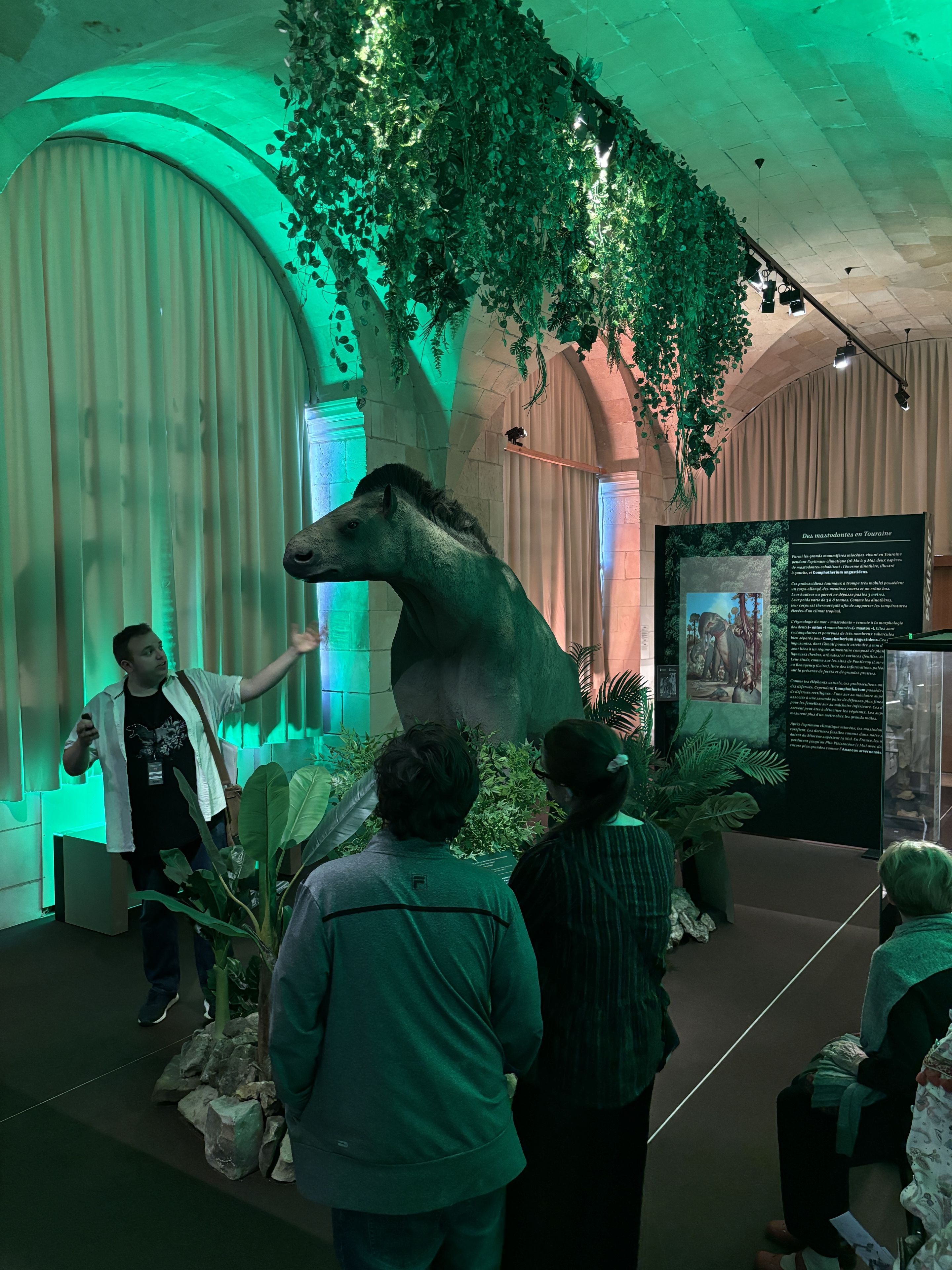 Découverte de l'exposition temporaire « La Touraine tropicale »