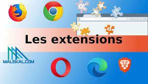 Le Navigateur internet et les extensions