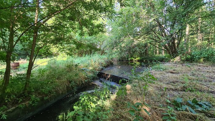 Journées du Patrimoine - Visites commentées du Moulin de Fleuri