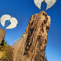 Exposition Travelling de Serge Griggio