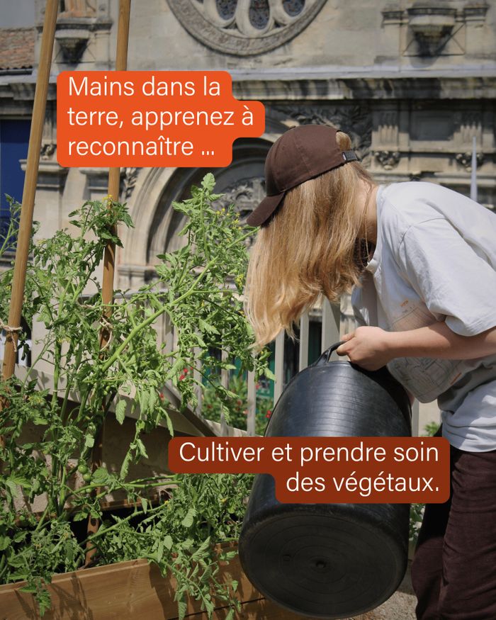 Atelier jardinage de Dominique : plantation d'hiver