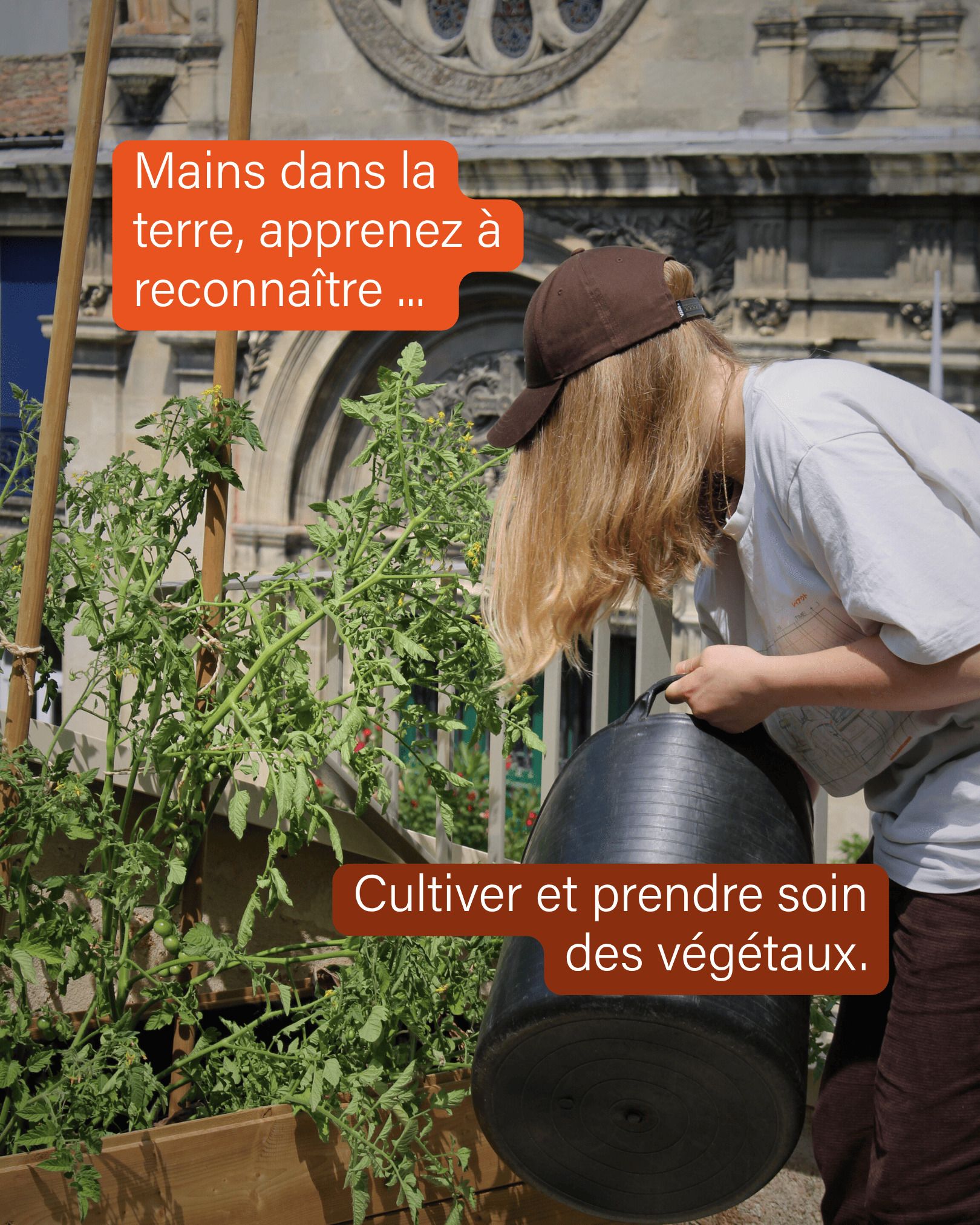 Atelier jardinage de Dominique : plantation d'hiver