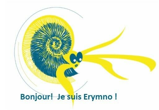 Sur les pas de l'ammonite