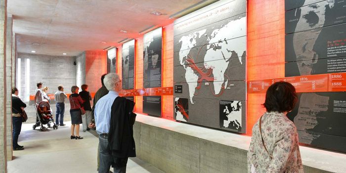 Visite guidée : Parcours de l'histoire à la mémoire