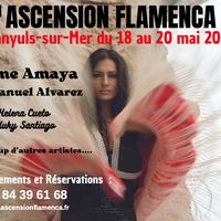 Festival Ascension Flamenca - Récital