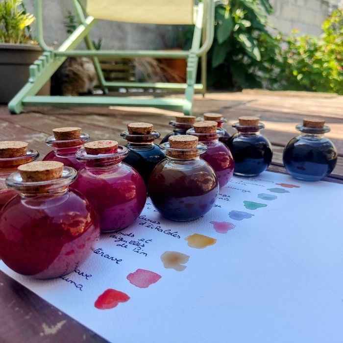 Pigments du vivant : s’initier aux aquarelles végétales avec Nos Deux Mains