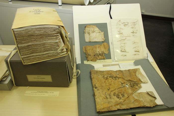 The preservation and restoration of archives