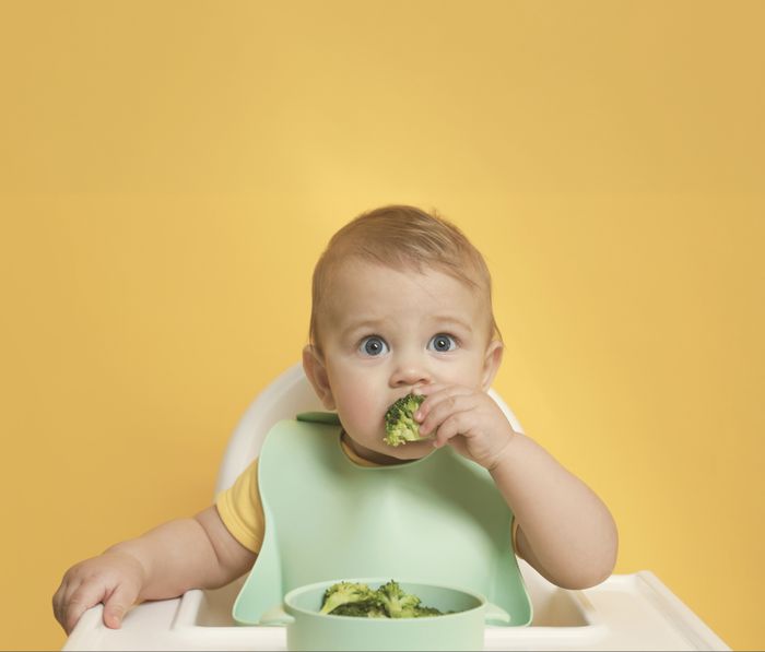 Les matinées des parents : diversification alimentaire - Café popote : même pas peur du brocoli !