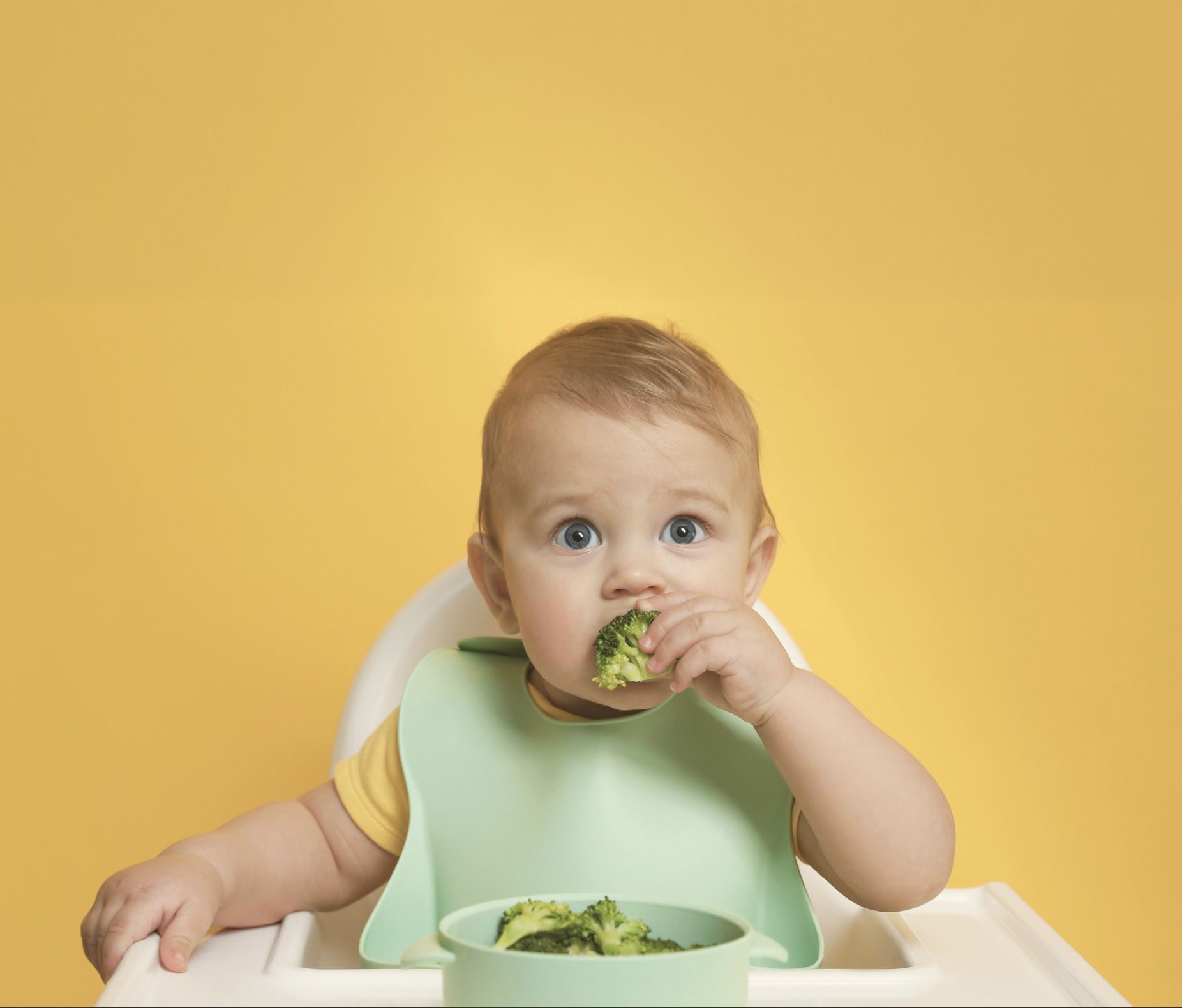 Les matinées des parents : diversification alimentaire - Café popote : même pas peur du brocoli !