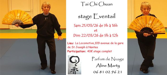 Stage de taichichuan à l'éventail