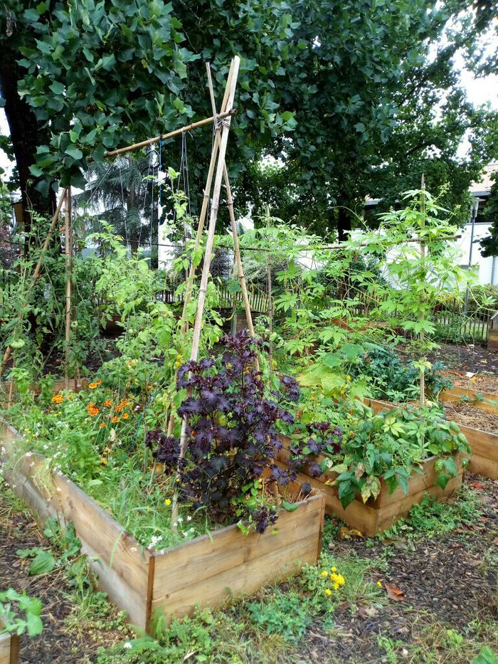 Chantier de lancement de saison au jardin de la rue Dullin