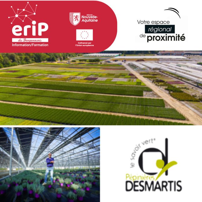 Visites entreprises