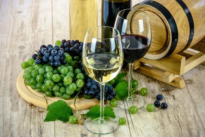 Salon du Vin Vivant - Cerbère