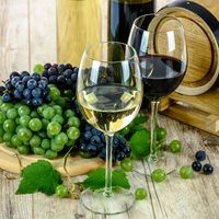 Salon du Vin Vivant - Cerbère
