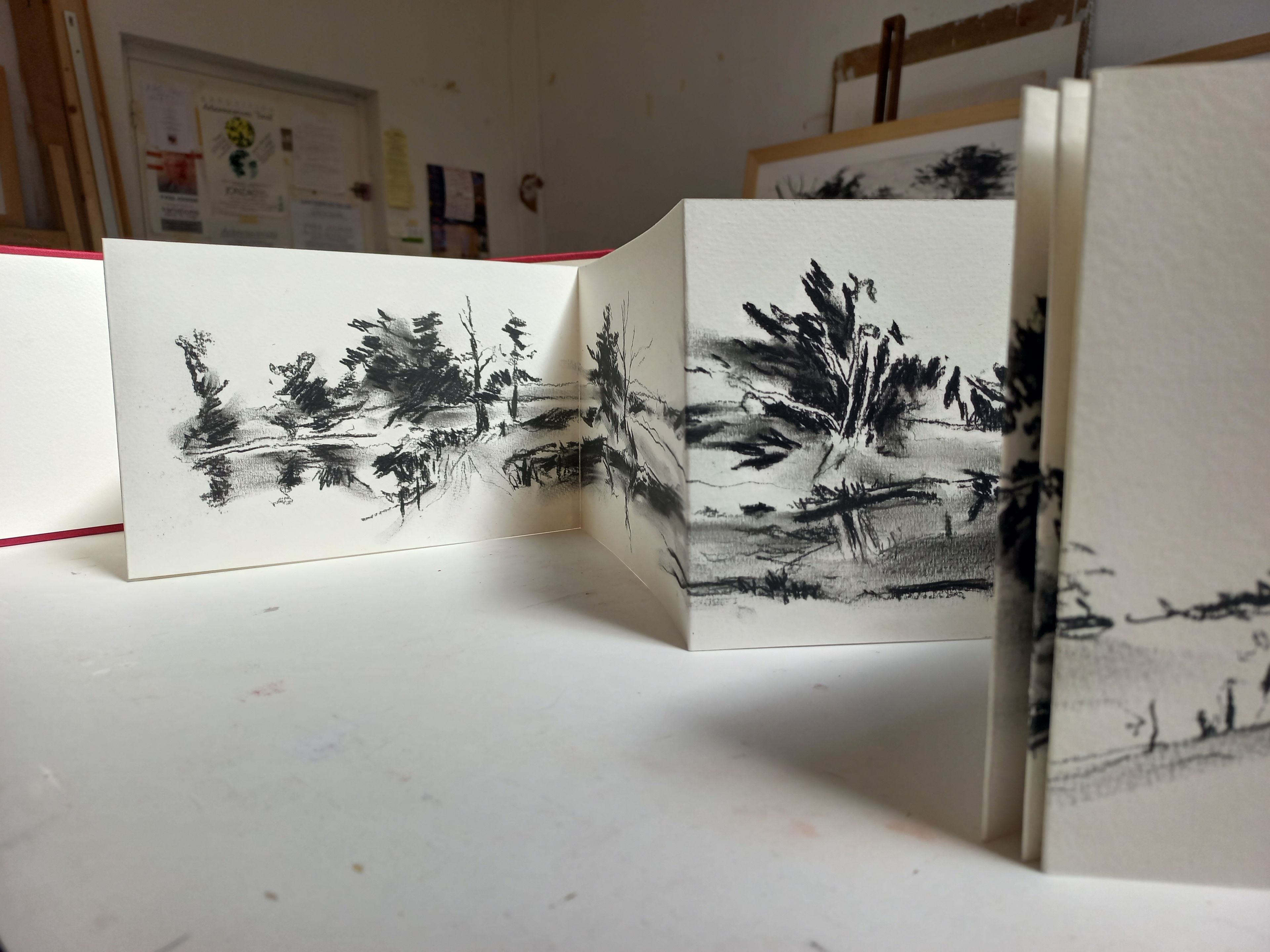 Exposition "Les livres des rives"