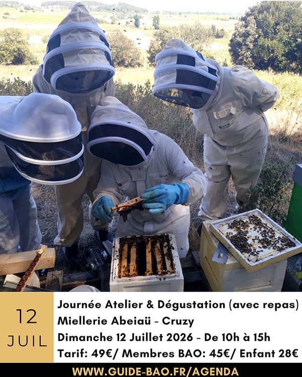 Immersion au pays des abeilles