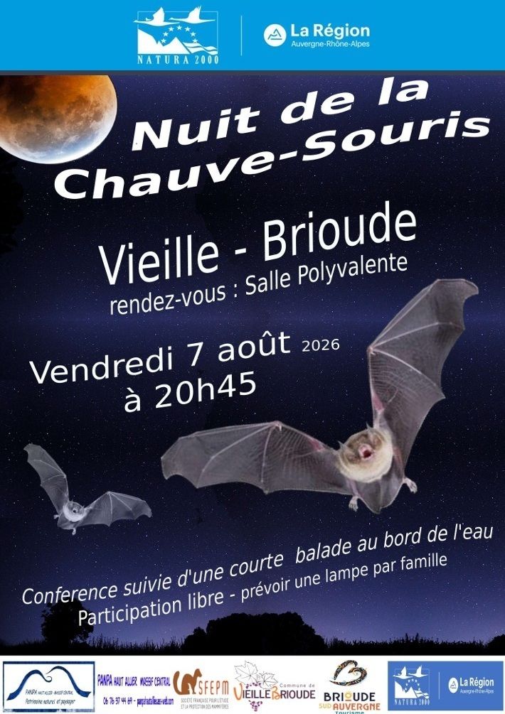 Nuit de la chauve-souris à Vieille Brioude
