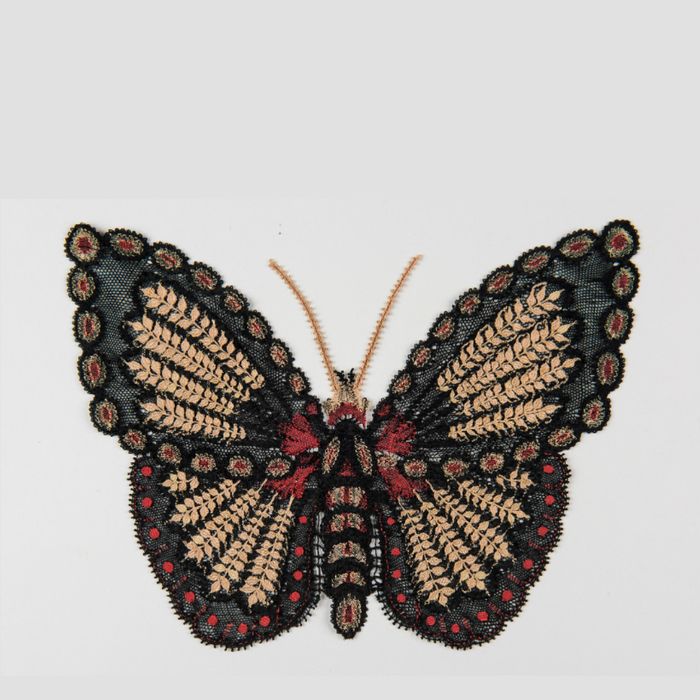 Collection Micro-Folie : Les INSECTES : dans l'art et la nature