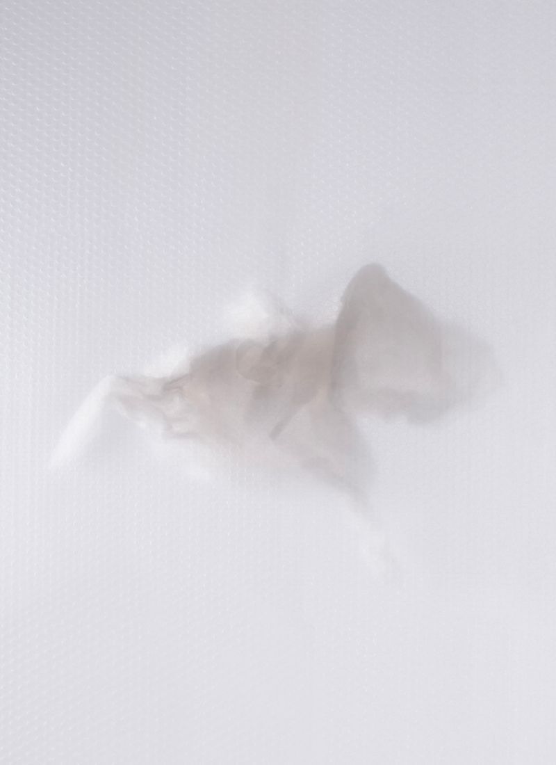 Exposition « Transparences, saison III, Dreams » avec le duo d'artistes Ana D & Noora K