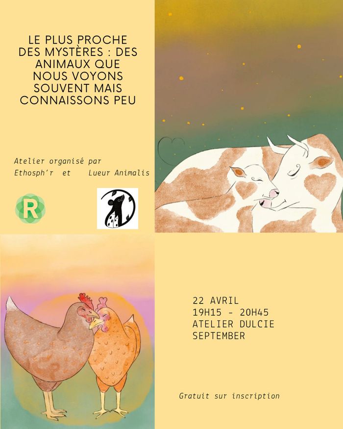 Le plus proche des mystères : découvrons les vaches et les poules qui nous sont si familières !