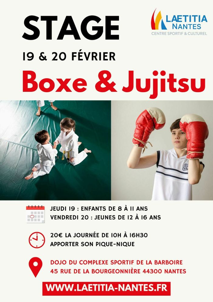 Stage Boxe & Jujitsu