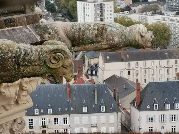 La cathédrale, de bas en haut