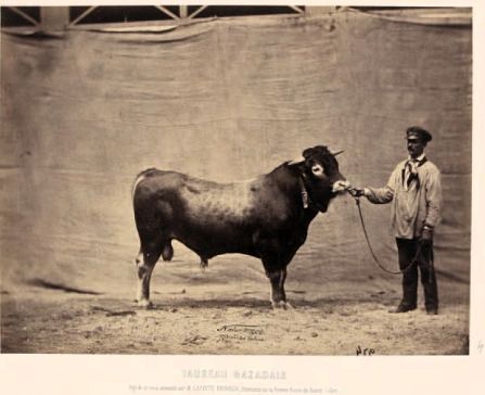 200 ans d'agriculture française à travers la photo