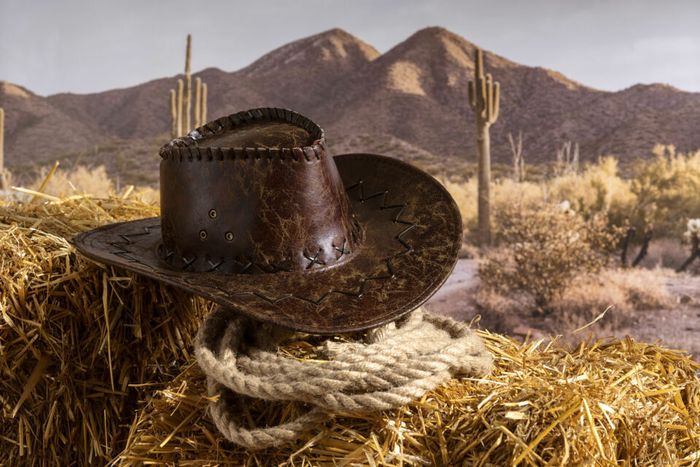Enfile ton chapeau de cowboy et viens vivre une après-midi 100% Western à AquaSpot ! 🐎🔥
