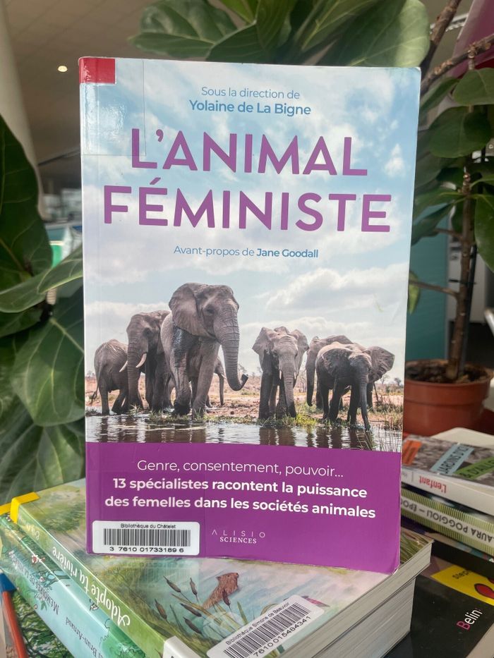 L’animal féministe