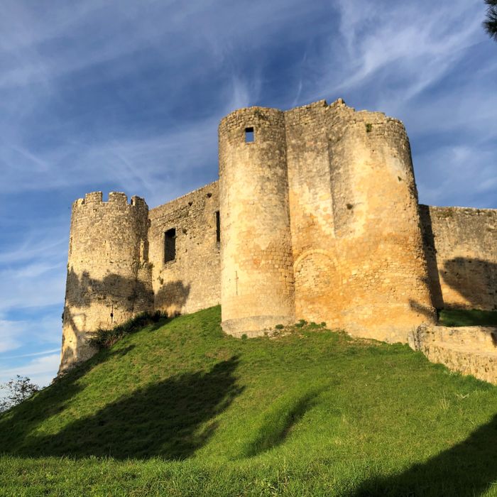 Visite d'un authentique château médiéval