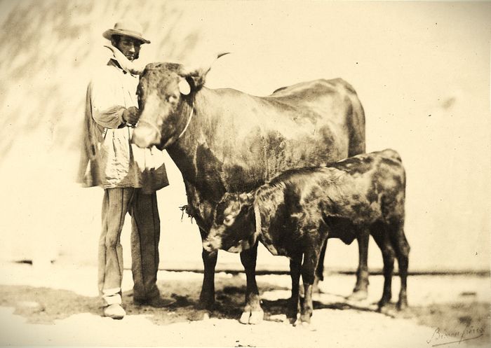 200 ans d'agriculture française à travers la photo