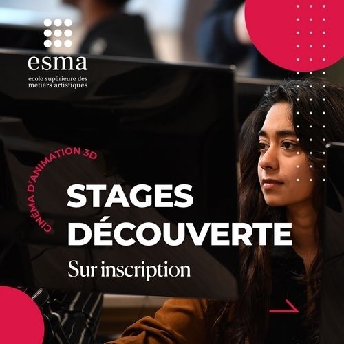 Stage découverte Animation 3D et effets spéciaux - ESMA