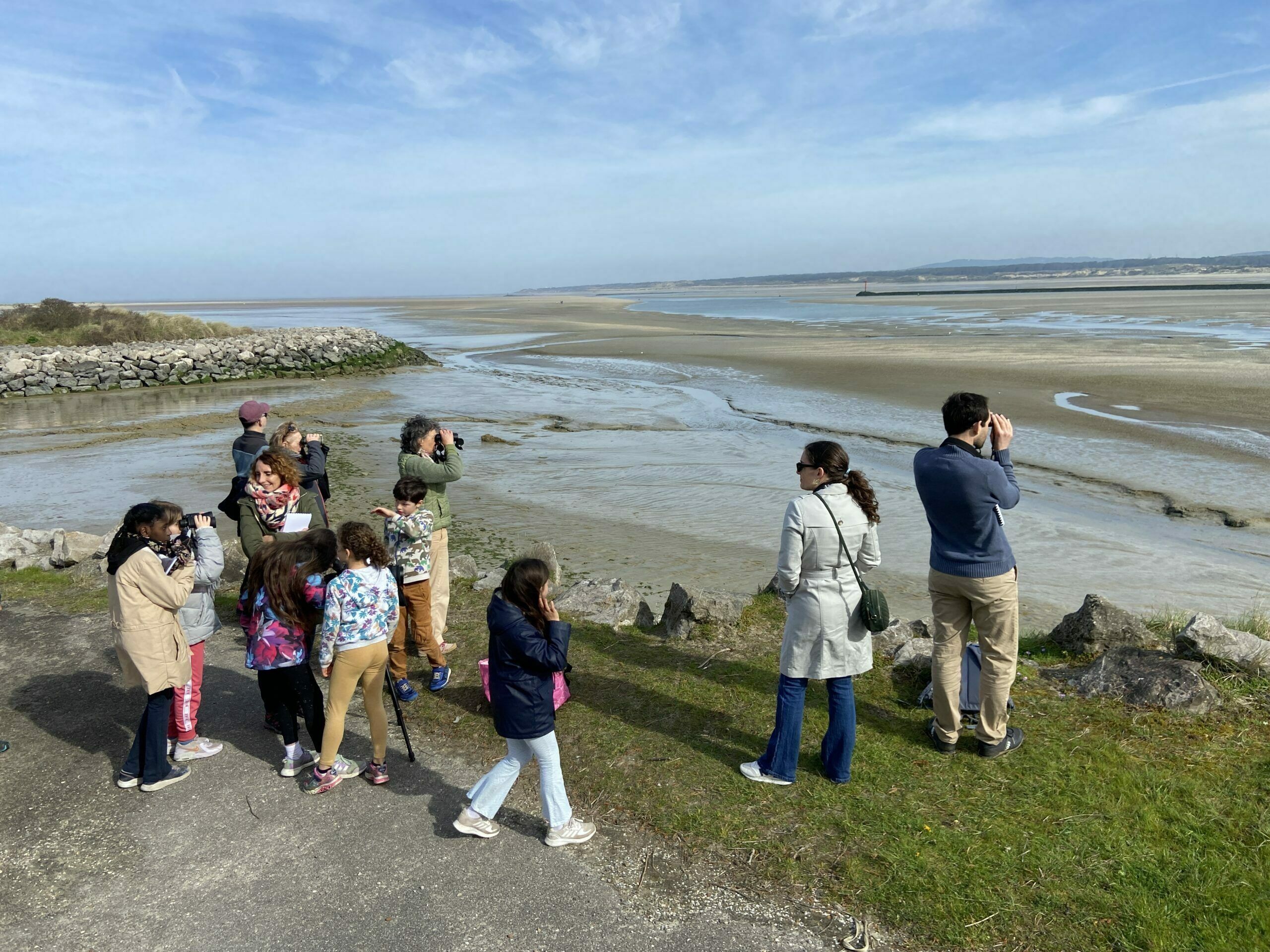 Migration et hivernage en Baie de Canche