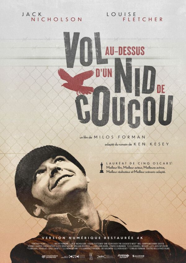 Vol au-dessus d'un nid de coucou