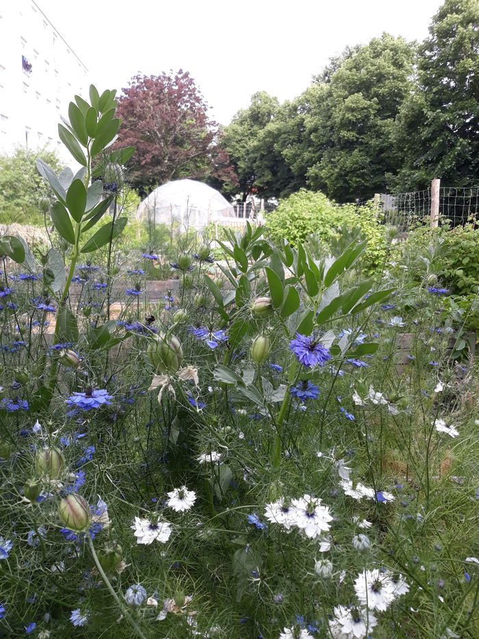 Rendez-vous au jardin Sensive terre
