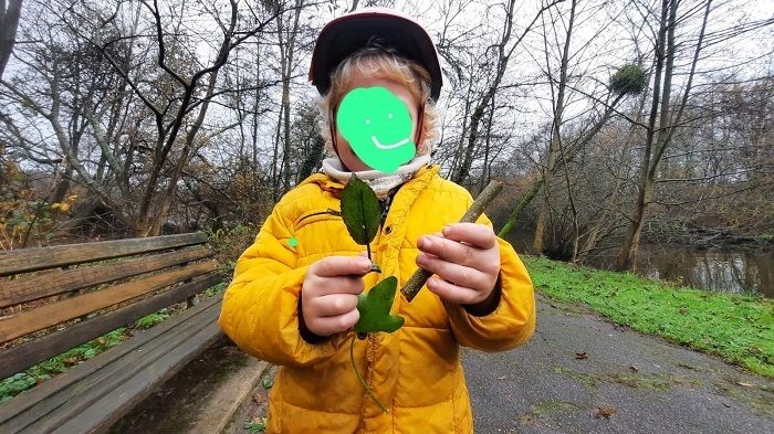 Sortie nature en famille : Musique verte !
