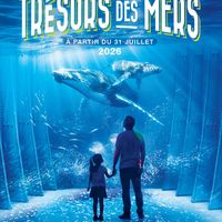 Trésors des Mers - Exposition Immersive