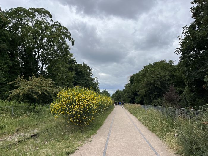 La Petite Ceinture en balade : un patrimoine ferroviaire réinventé