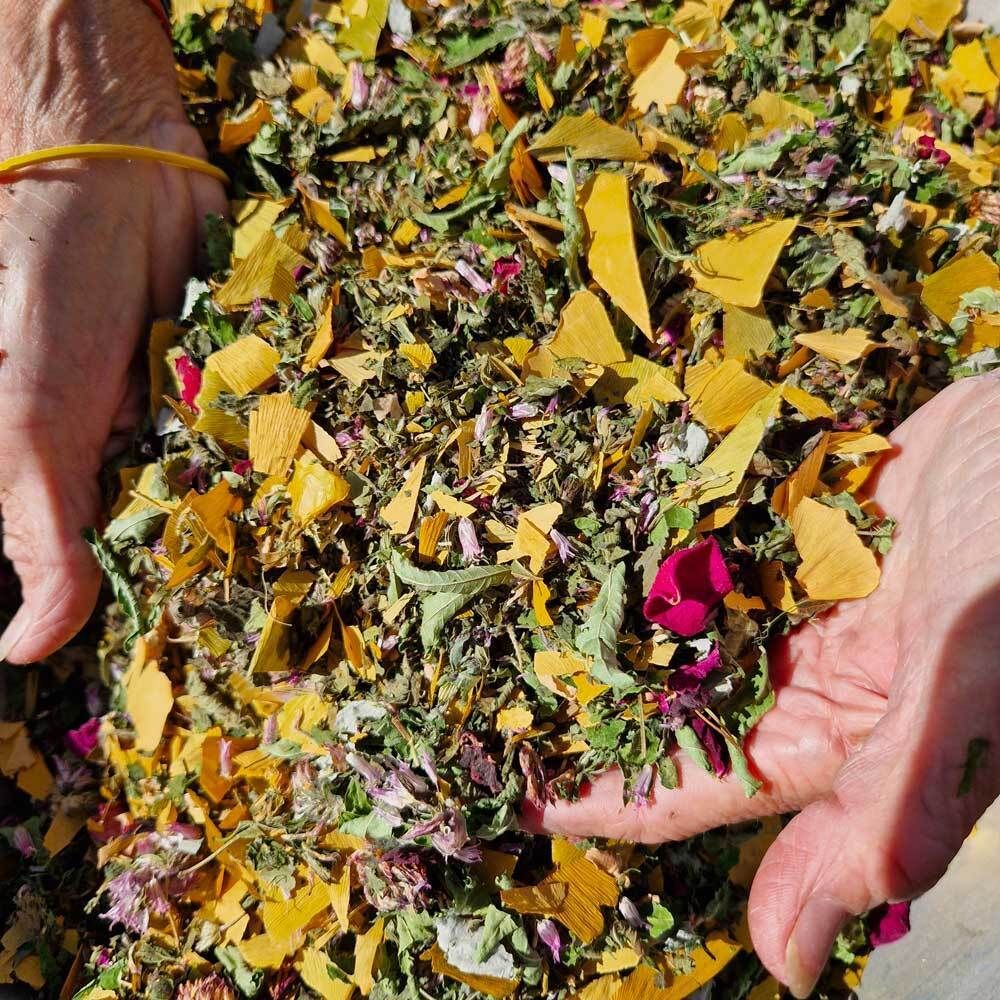 Visit: Wild Aromatic Treasures