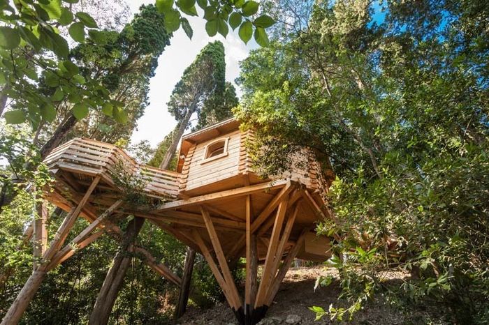 Fascinant week-end - séjour en cabane dans les bois