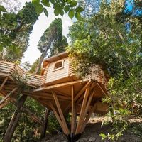 Fascinant week-end - séjour en cabane dans les bois