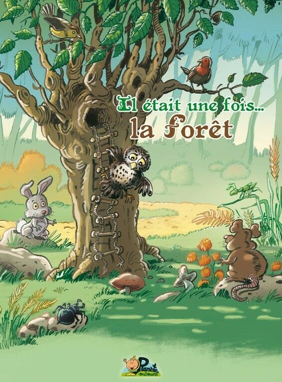 Il était une fois... la forêt