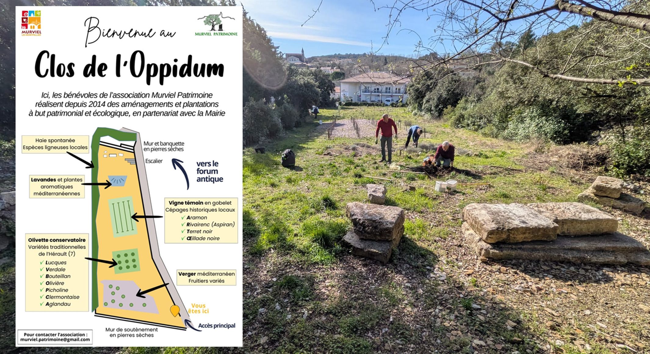 Visite commentée : inauguration du clos de l'Oppidum