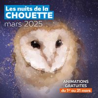 Nuits des chouettes