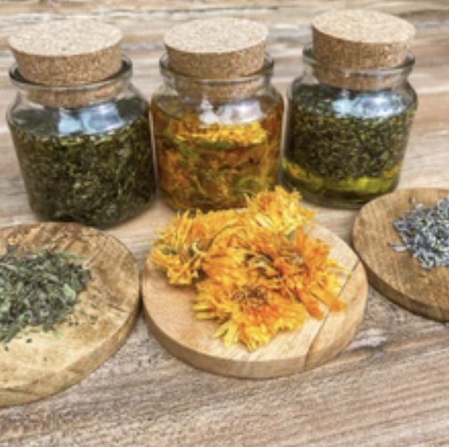Atelier Macérat avec l'association Culture(s) en Herbe(s)